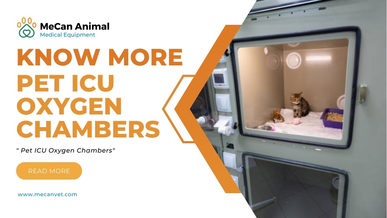 Know More Pet ICU Oxygen Chambers